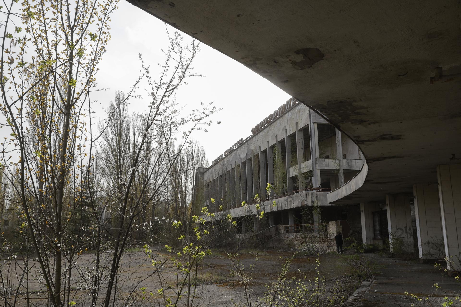 EFE/EPA/SERGEY DOLZHENKO