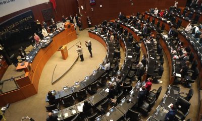 Vista general de una sesión extraordinaria de la Cámara de Senadores, en Ciudad de México (México). Imagen de archivo. EFE/ Sáshenka Gutiérrez