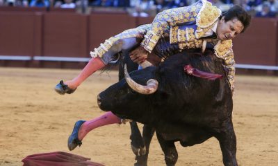 El diestro Roca Rey con su segundo toro en la decimotercera corrida de abono este jueves en la Plaza de Toros de La Maestranza de Sevilla. EFE/ Raúl Caro