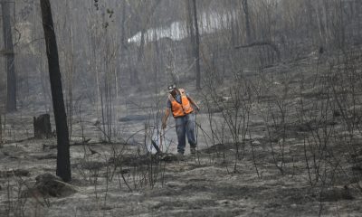 Fotografía del 19 de abril de 2026 de un hombre caminando por una zona donde ocurrió un incendio forestal en la aldea La Montañita, al oriente de Tegucigalpa (Honduras). EFE/ Gustavo Amador