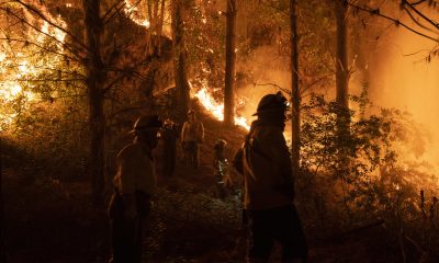 Archivo. EFE/ Adriana Thomasa