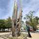 Cactus gigante de 1.500 años regalado por el Gobierno de México con motivo de la Exposición Universal de Sevilla (España) de 1992. EFE/Fermín Cabanillas