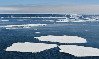 Las aguas cálidas de las profundidades oceánicas están ya acercándose peligrosamente a la Antártida y amenazan con derretir sus plataformas de hielo desde abajo, lo que puede resultar crítico porque la desestabilización de estos hielos podría provocar un aumento significativo del nivel del mar a escala global. En la imagen, el mar Bellinghausen (Antártida). Fotografía: Laura Cimoli/Universidad de Cambridge
