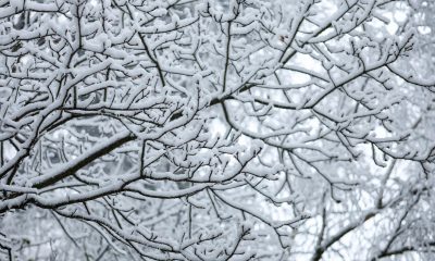 EFE/EPA/SERGEI ILNITSKY