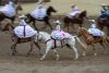 Fotografía del 19 de abril de 2026 que muestra a integrantes de una escaramuza charra durante una jornada del 'Viva Fiesta' en San Antonio, Texas (EE.UU.). EFE/ Carlos Ramírez

