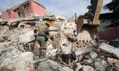 Un rescatista del Ejercito de México junto a su perro trabajan en un edificio afectado en La Guaira (Venezuela). EFE/ Ronald Peña R