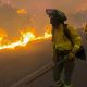 Bomberos trabajan en el incendio en el que seis personas han muerto en el municipio almeriense de Los Gallardos, en concreto en una pedanía del municipio vecino de Bédar, habiendo sido halladas algunas de las víctimas en el interior de vehículos que fueron alcanzados por las llamas. EFE/Emergencias Andalucía SÓLO USO EDITORIAL, PERMITIDO SU USO SÓLO EN RELACIÓN A LA INFORMACIÓN QUE APARECE EN EL PIE DE FOTO (CRÉDITO OBLIGATORIO)