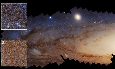 Fotografía cedida por la NASA tomada por el telescopio espacial Hubble el detalle de millones de estrellas en la galaxia de Andrómeda, donde las regiones que han experimentado una formación estelar reciente (1) se ven notablemente más azules que aquellas con una formación estelar menos reciente (2). EFE/NASA/ESA Benjamin Williams (UWashington) /Zhuo Chen (UWashington) /L. Clifton Johnson (Northwestern) /Image Processing: Joseph DePasquale (STScI) /SOLO USO EDITORIAL /NO VENTAS /SOLO DISPONIBLE PARA ILUSTRAR LA NOTICIA QUE ACOMPAÑA /CRÉDITO OBLIGATORIO