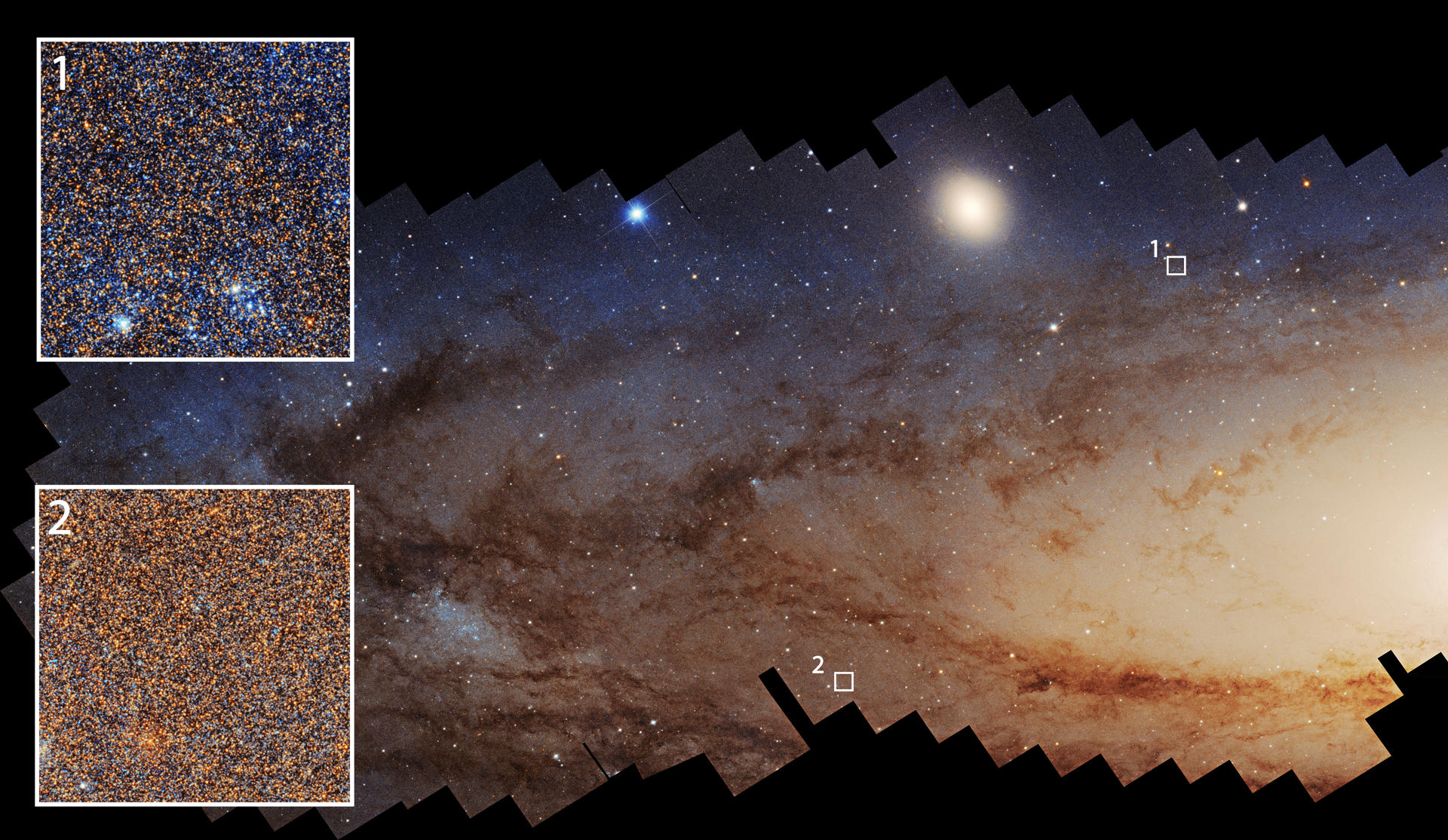 Fotografía cedida por la NASA tomada por el telescopio espacial Hubble el detalle de millones de estrellas en la galaxia de Andrómeda, donde las regiones que han experimentado una formación estelar reciente (1) se ven notablemente más azules que aquellas con una formación estelar menos reciente (2). EFE/NASA/ESA Benjamin Williams (UWashington) /Zhuo Chen (UWashington) /L. Clifton Johnson (Northwestern) /Image Processing: Joseph DePasquale (STScI) /SOLO USO EDITORIAL /NO VENTAS /SOLO DISPONIBLE PARA ILUSTRAR LA NOTICIA QUE ACOMPAÑA /CRÉDITO OBLIGATORIO
