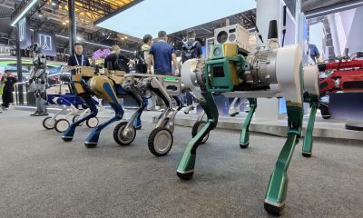Varios robots trabajan como parte de una exhibición en el Congreso Mundial de Inteligencia Artificial (WAIC), la principal feria dedicada a esa tecnología en China, que ha abierto este viernes sus puertas en Shanghái, China. La megalópolis oriental china de Shanghái acoge desde este viernes la Conferencia Mundial de Inteligencia Artificial (WAIC), la principal feria dedicada a este incipiente sector en el país asiático, el cual busca reafirmar su capacidad de competir cara a cara contra Estados Unidos. EFE/ Víctor Escribano