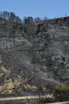 Vista del área calcinada en el municipio almeriense de Béda . La superficie afectada por el incendio forestal originado en Los Gallardos (Almería), con doce fallecidos, se ha elevado a 6.600 hectáreas por los avances registrados durante la pasada jornada, que obligaron a ampliar el perímetro ante la presencia de focos y frentes muy activos. EFE/Carlos Barba
