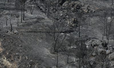 Vista del área calcinada en el municipio almeriense de Béda . La superficie afectada por el incendio forestal originado en Los Gallardos (Almería), con doce fallecidos, se ha elevado a 6.600 hectáreas por los avances registrados durante la pasada jornada, que obligaron a ampliar el perímetro ante la presencia de focos y frentes muy activos. EFE/Carlos Barba