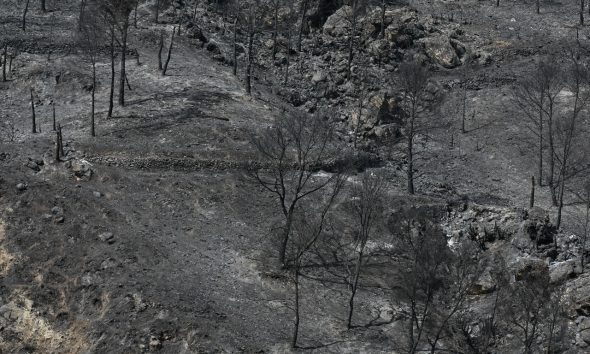 Vista del área calcinada en el municipio almeriense de Béda . La superficie afectada por el incendio forestal originado en Los Gallardos (Almería), con doce fallecidos, se ha elevado a 6.600 hectáreas por los avances registrados durante la pasada jornada, que obligaron a ampliar el perímetro ante la presencia de focos y frentes muy activos. EFE/Carlos Barba