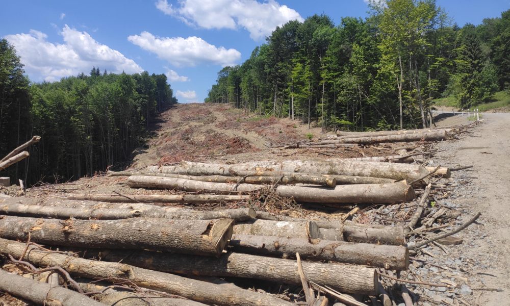 .- Los ecologistas afirman que el principal daño irreparable a las montañas y los ecosistemas proviene de las obras realizadas para instalar y mantener los aerogeneradores en regiones remotas, lo que incluye la tala de grandes extensiones de bosque y la construcción de carreteras de gran envergadura a través de paisajes vírgenes. Los planes de construir decenas de aerogeneradores en algunas de las crestas más altas de los Montes Cárpatos ucranianos occidentales, como parte del esfuerzo por descentralizar la generación eléctrica ante los ataques rusos, generan preocupación entre residentes y ecologistas, que temen daños irreparables a uno de los paisajes naturales más prístinos de Europa. EFE/ Rostyslav Averchuk