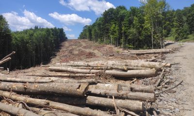 .- Los ecologistas afirman que el principal daño irreparable a las montañas y los ecosistemas proviene de las obras realizadas para instalar y mantener los aerogeneradores en regiones remotas, lo que incluye la tala de grandes extensiones de bosque y la construcción de carreteras de gran envergadura a través de paisajes vírgenes. Los planes de construir decenas de aerogeneradores en algunas de las crestas más altas de los Montes Cárpatos ucranianos occidentales, como parte del esfuerzo por descentralizar la generación eléctrica ante los ataques rusos, generan preocupación entre residentes y ecologistas, que temen daños irreparables a uno de los paisajes naturales más prístinos de Europa. EFE/ Rostyslav Averchuk