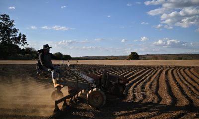 Fotografía de archivo de un hombre que trabaja en el secado de granos en una plantación de café, en una zona rural en Brasilia (Brasil). EFE/ Andre Borges
