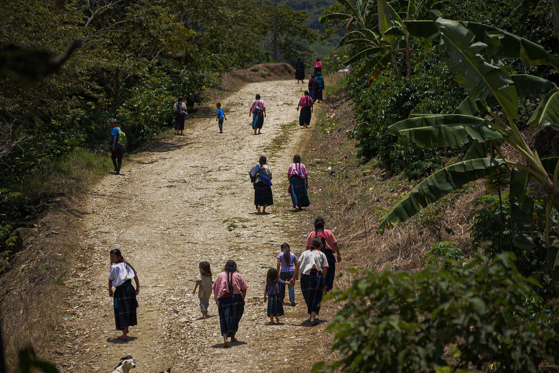 Vista de indígenas desplazados en las montañas del estado de Chiapas (México). Fotografía de archivo. EFE/Carlos López