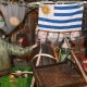 Integrantes de la Fuerza Aérea custodian el avión Hércules que transporta ayuda humanitaria para Venezuela este sábado desde Montevideo (Uruguay). EFE/ Federico Gutiérrez