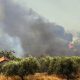 Vista del incendio en el área de Fichtia de la Argólida, en la región griega del Peloponeso. EFE/EPA/BOUGIOTIS EVANGELOS