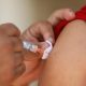 México ha registrado 24.998 casos probables de dengue en 2026, con 2.421 confirmados hasta la semana epidemiológica 22. Fotografía de archivo. EFE/ Francisco Guasco
