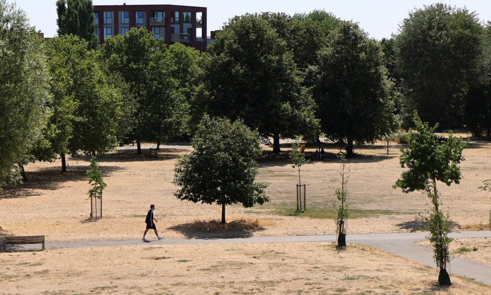 En la imagen de ayer, un hombre camina por un parque seco en Londres, Gran Bretaña.EFE/EPA/ANDY RAIN