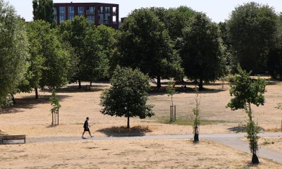 En la imagen de ayer, un hombre camina por un parque seco en Londres, Gran Bretaña.EFE/EPA/ANDY RAIN