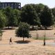 En la imagen de ayer, un hombre camina por un parque seco en Londres, Gran Bretaña.EFE/EPA/ANDY RAIN