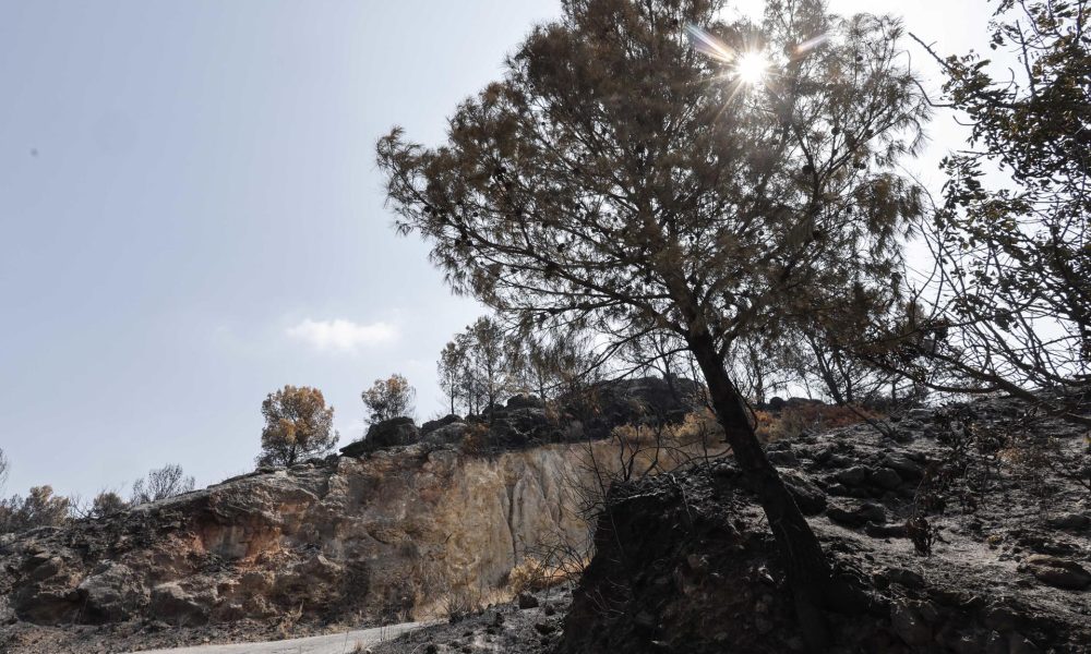 Paisaje quemado en La Vall d'Uixó (Castellón), en España, este viernes. EFE/Manuel Bruque