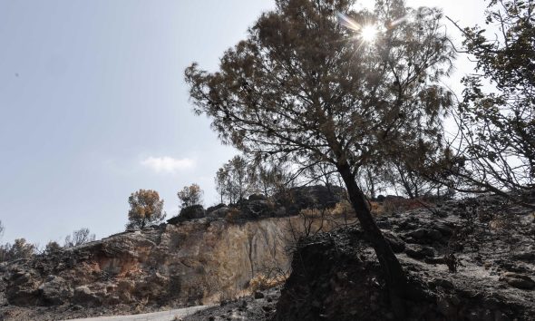 Paisaje quemado en La Vall d'Uixó (Castellón), en España, este viernes. EFE/Manuel Bruque