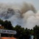 El humo se eleva sobre un bosque de pinos durante un incendio forestal que se propaga en Cap Ferret, en Lège-Cap-Ferret, en el suroeste de Francia. EFE/EPA/JULIEN REGUL