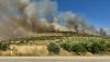 FICHTIA (Greece), 31/07/2026.- A wildfire burns through trees in the Fichtia area of Argolida in the Peloponnese EFE/EPA/BOUGIOTIS EVANGELOS
