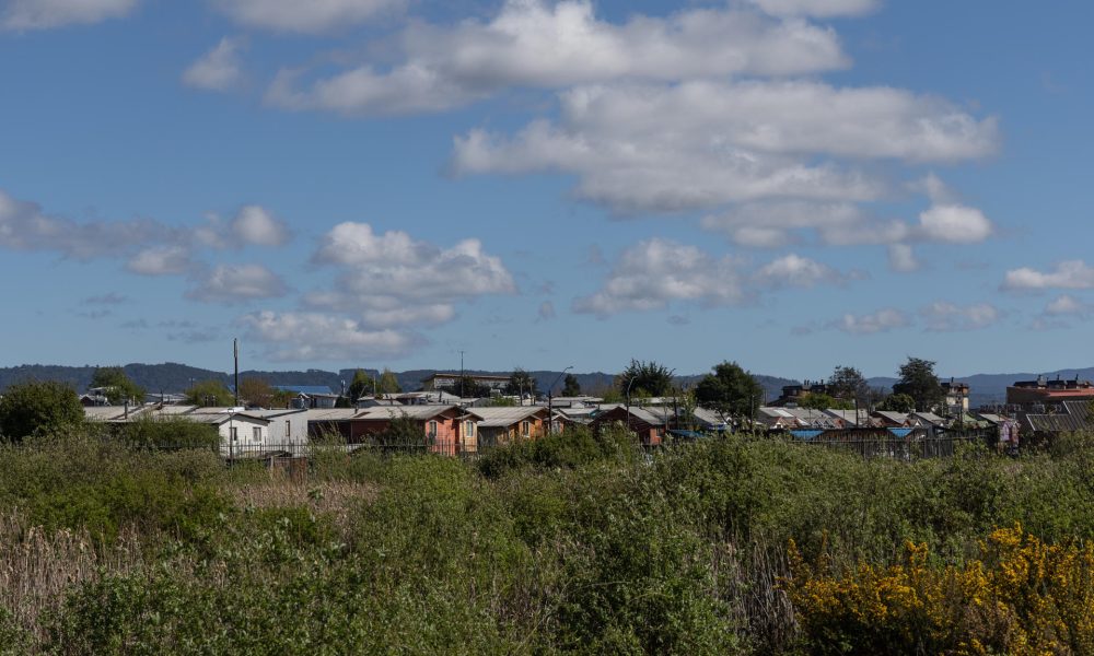 Fotografía de archivo del 13 de octubre de 2024 que muestra casas ubicadas en el humedal urbano, en la ciudad de Valdivia (Chile). EFE/ Ailen Díaz