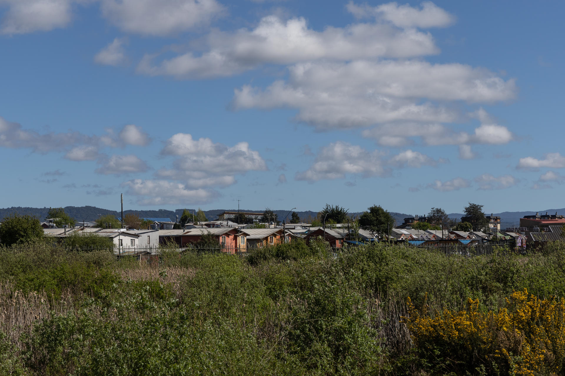 Fotografía de archivo del 13 de octubre de 2024 que muestra casas ubicadas en el humedal urbano, en la ciudad de Valdivia (Chile). EFE/ Ailen Díaz