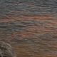 El mar de ardora, un fenómeno natural que hace brillar las aguas con destellos azul neón, se ha convertido de nuevo en uno de los espectáculos más buscados este verano en las Rías Baixas gallegas y el responsable tiene nombre y apellido: Noctiluca scintillans, un microorganismo que exhibe bioluminiscencia. EFE/Sxenick
