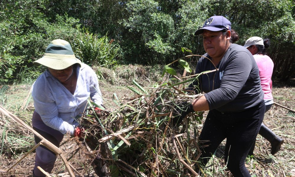 Fotografía del 22 de julio de 2026 que muestra a un grupo de mujeres trabajando en la restauración de un manglar en Ahuachapán (El Salvador). EFE/ Javier Aparicio