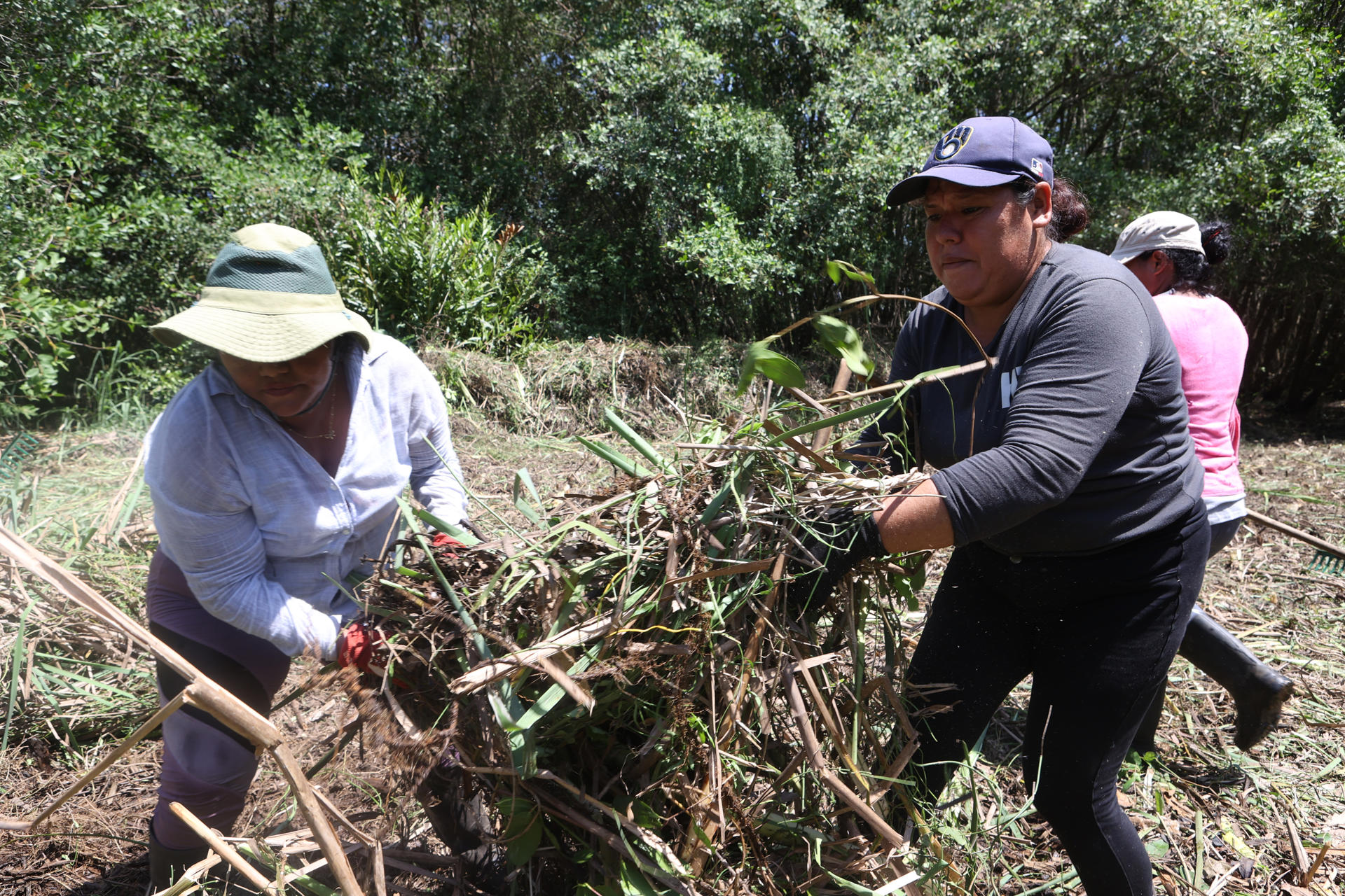 Fotografía del 22 de julio de 2026 que muestra a un grupo de mujeres trabajando en la restauración de un manglar en Ahuachapán (El Salvador). EFE/ Javier Aparicio