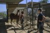 El refugio BETA Lebanon, en las montañas de Bdadoun, Líbano, acoge a más de 1.500 animales, entre ellos cientos de perros y gatos rescatados de zonas bombardeadas por Israel durante la guerra de 2024 y la ofensiva reanudada el pasado marzo, muchos de ellos abandonados por sus dueños. EFE/Edgar Gutiérrez
