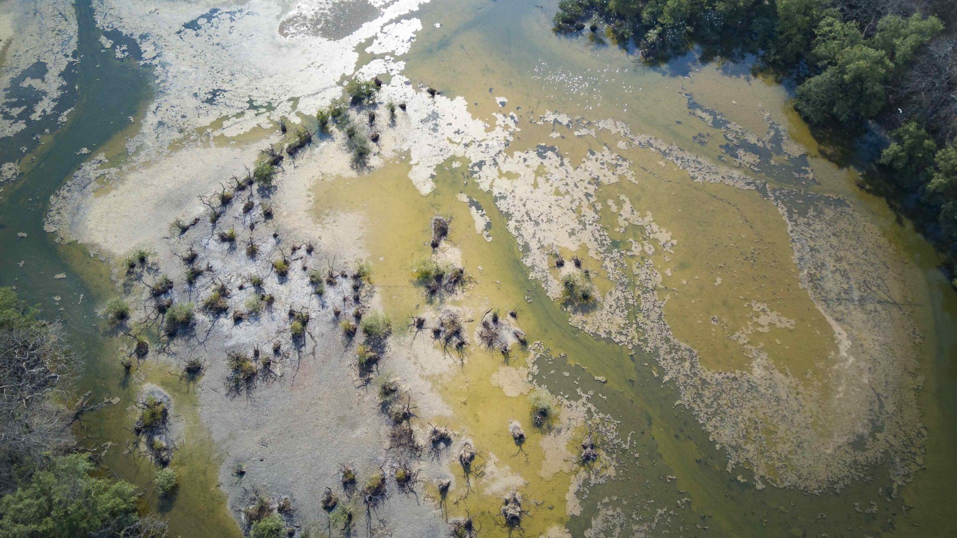 Fotografía aérea de archivo de los manglares de la zona de Bajamar en Puntarenas, los cuales han perdido la mayoría de agua por las altas temperaturas que llegan a los 40 grados, en San José (Costa Rica). EFE/ Jeffrey Arguedas