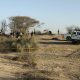 Integrantes la Policía de Perú operan en la zona donde una avioneta que sobrevolaba sobre las Líneas de Nazca se estrelló y dejó 13 personas fallecidas, entre ellos 11 turistas en la municipalidad provincial de Nazca (Perú). EFE/Victor Quilca
