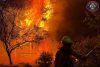 EFE/EPA/SPOKANE VALLEY FIRE DEPARTMENT HANDOUT HANDOUT EDITORIAL USE ONLY/NO SALES