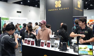 Fotografía cedida por la Cámara de Comercio, Industrias y Agricultura de Panamá que muestra a personas en el pabellón de la Specialty Coffee Association of Panamá, con su marca Panama Geisha durante el World of Coffee San Diego en el Centro de Convenciones de San Diego (EE.UU.). EFE/ Cámara De Comercio, Industrias y Agricultura de Panamá