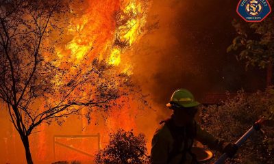 EFE/EPA/SPOKANE VALLEY FIRE DEPARTMENT HANDOUT HANDOUT EDITORIAL USE ONLY/NO SALES