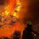 EFE/EPA/SPOKANE VALLEY FIRE DEPARTMENT HANDOUT HANDOUT EDITORIAL USE ONLY/NO SALES