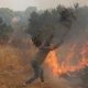 Un voluntario combate un incendio forestal en los alrededores de Mégara, en la región de Ática (Grecia), el 2 de agosto de 2026. EFE/ORESTIS PANAGIOTOU