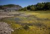 El lecho parcialmente expuesto del río Elba en Ústí nad Labem, República Checa. EFE/EPA/MARTIN DIVISEK
