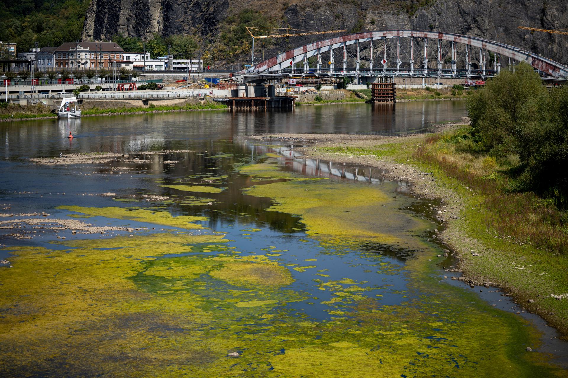 El lecho parcialmente expuesto del río Elba en Ústí nad Labem, República Checa. EFE/EPA/MARTIN DIVISEK